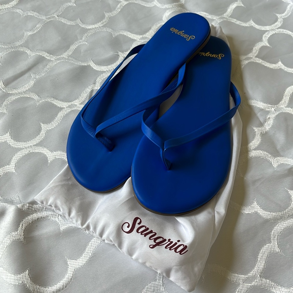 Cobalt Blue Flip Flops